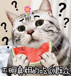 坐等吃瓜图片,揭秘娱乐圈幕后风云